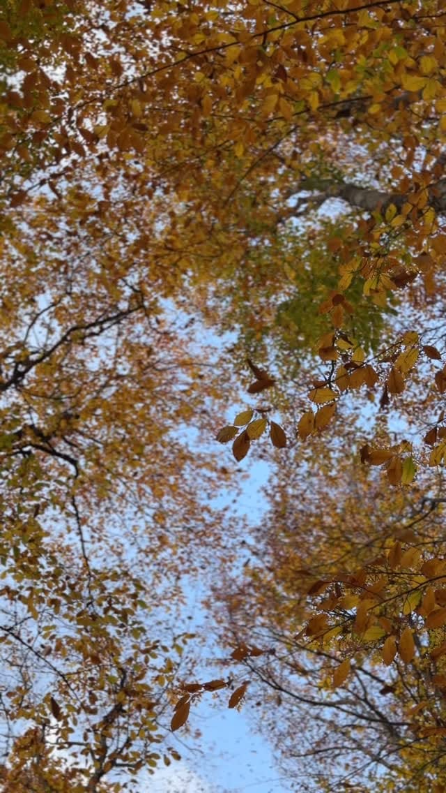 Post 7 by edimsmavi 🇹🇷 on Instagram (video)