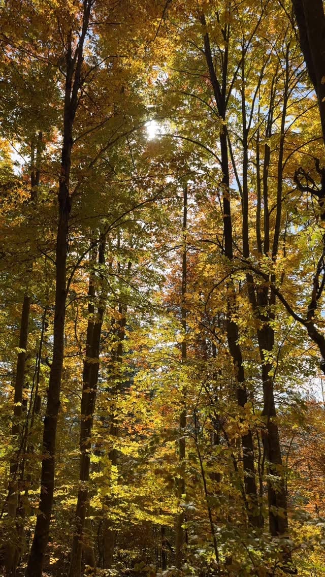 Post 8 by edimsmavi 🇹🇷 on Instagram (video)