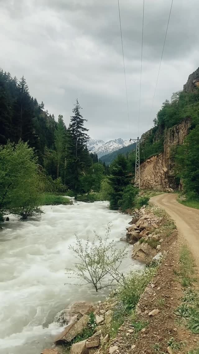 Post 8 by Doğa Fotoğrafçısı on Instagram (video)