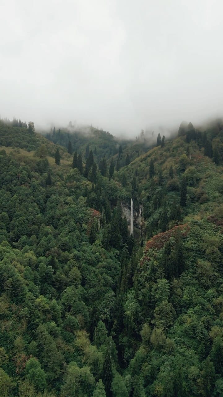 Post 10 by Doğa Fotoğrafçısı on Instagram (video)