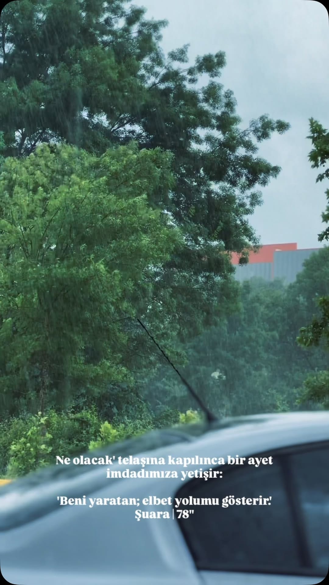 Post 2 by Doğa Fotoğrafçısı on Instagram (video)