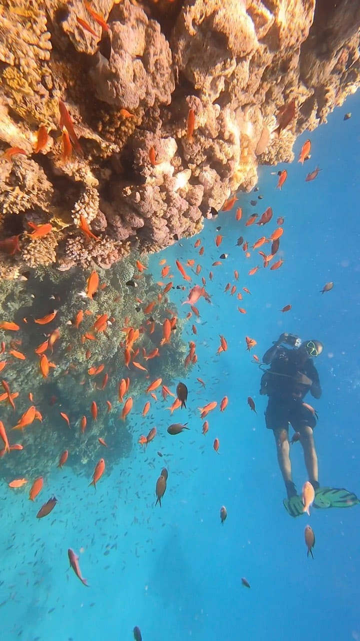 Post 8 by Alessandro Lai on Instagram (video)