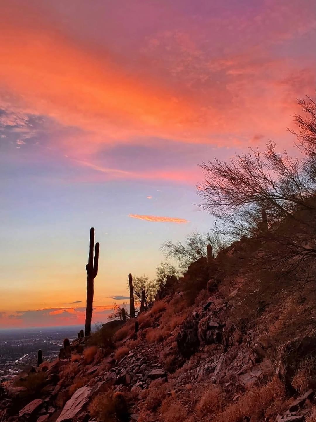 Post 6 by Benita 🙋🏻‍♀️Hiker 🌵 Inspired by Lessons Learned from Nature on Instagram (carousel)