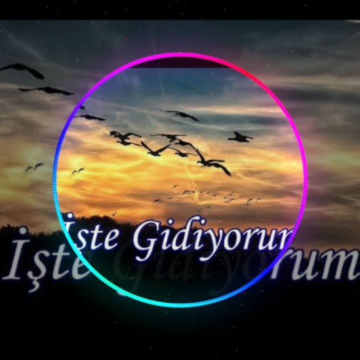 Post 3 by Yoldaş on Instagram (video)