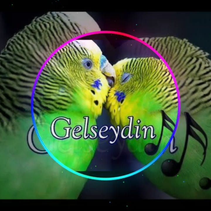 Post 5 by Yoldaş on Instagram (video)