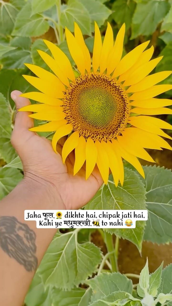 Post 5 by AISHWARYA🧚 on Instagram (video)
