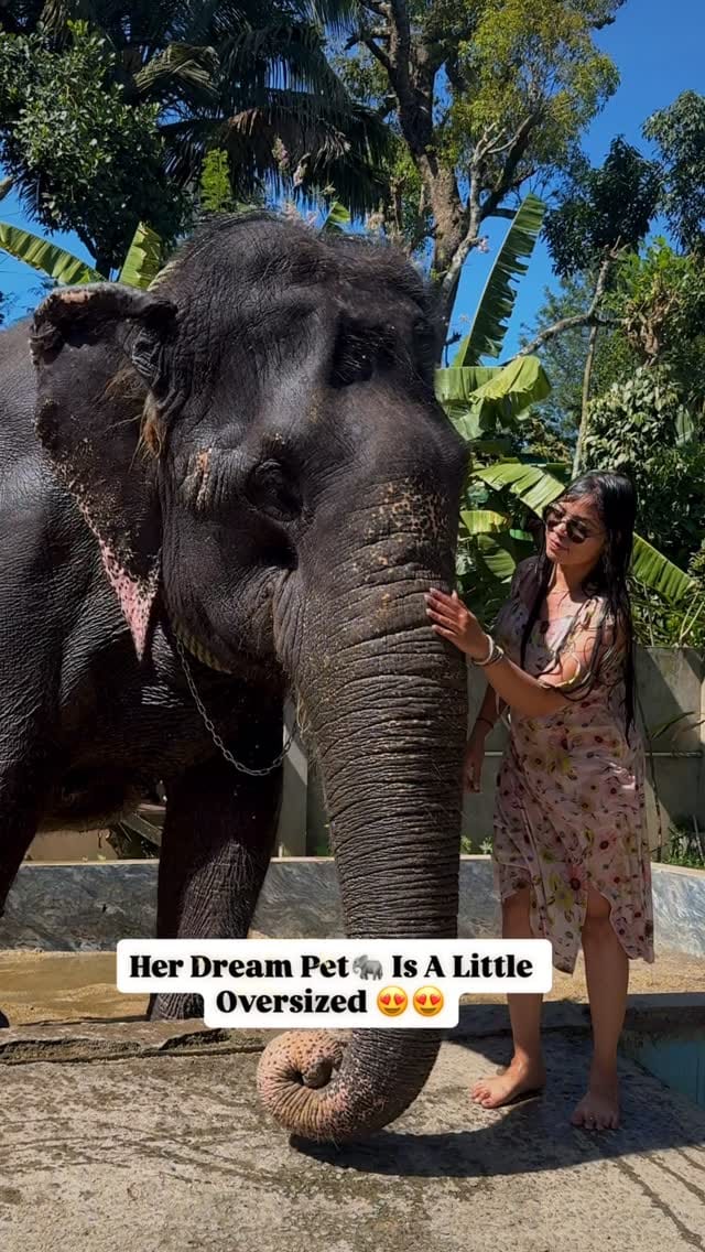 Post 3 by AISHWARYA🧚 on Instagram (video)