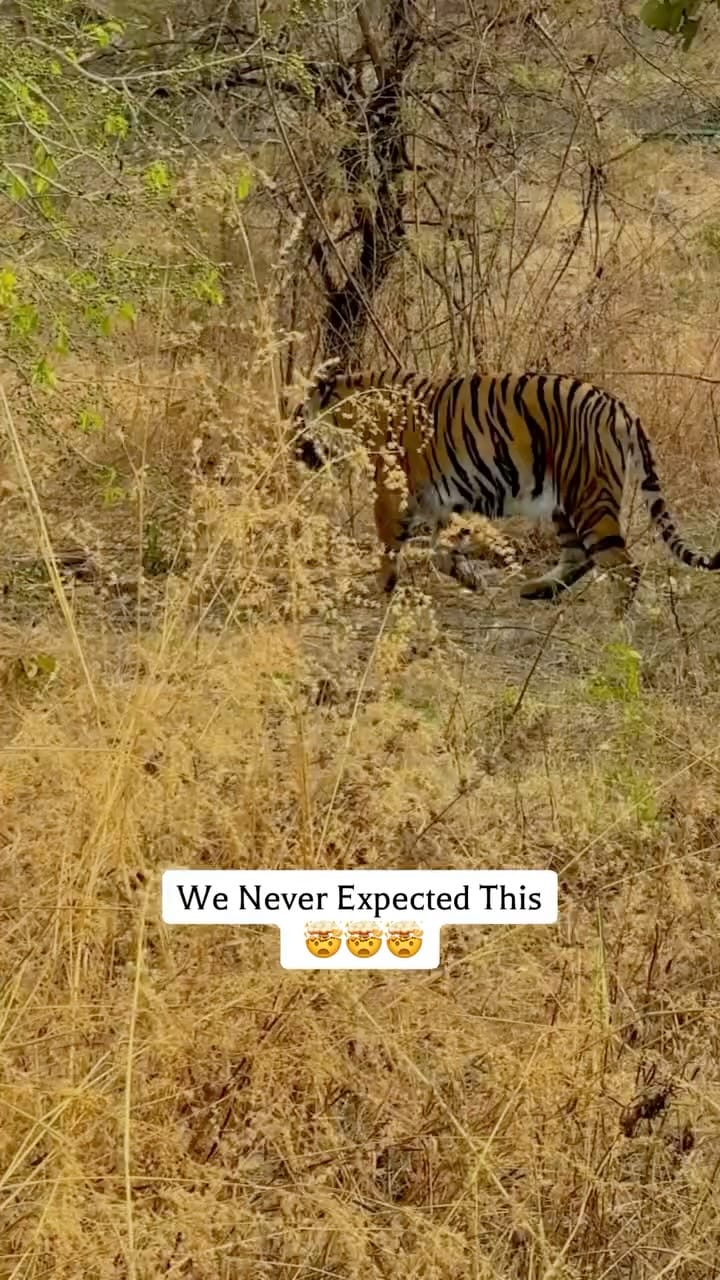 Post 6 by AISHWARYA🧚 on Instagram (video)