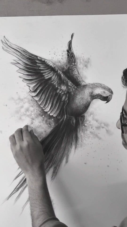 Post 10 by Nirav kapadiya on Instagram (video)