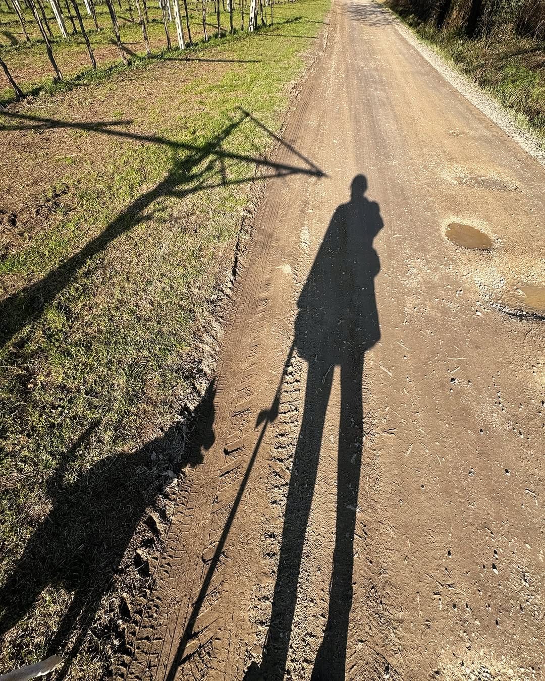 Post 7 by Elisa Silvy Montresor on Instagram (image)