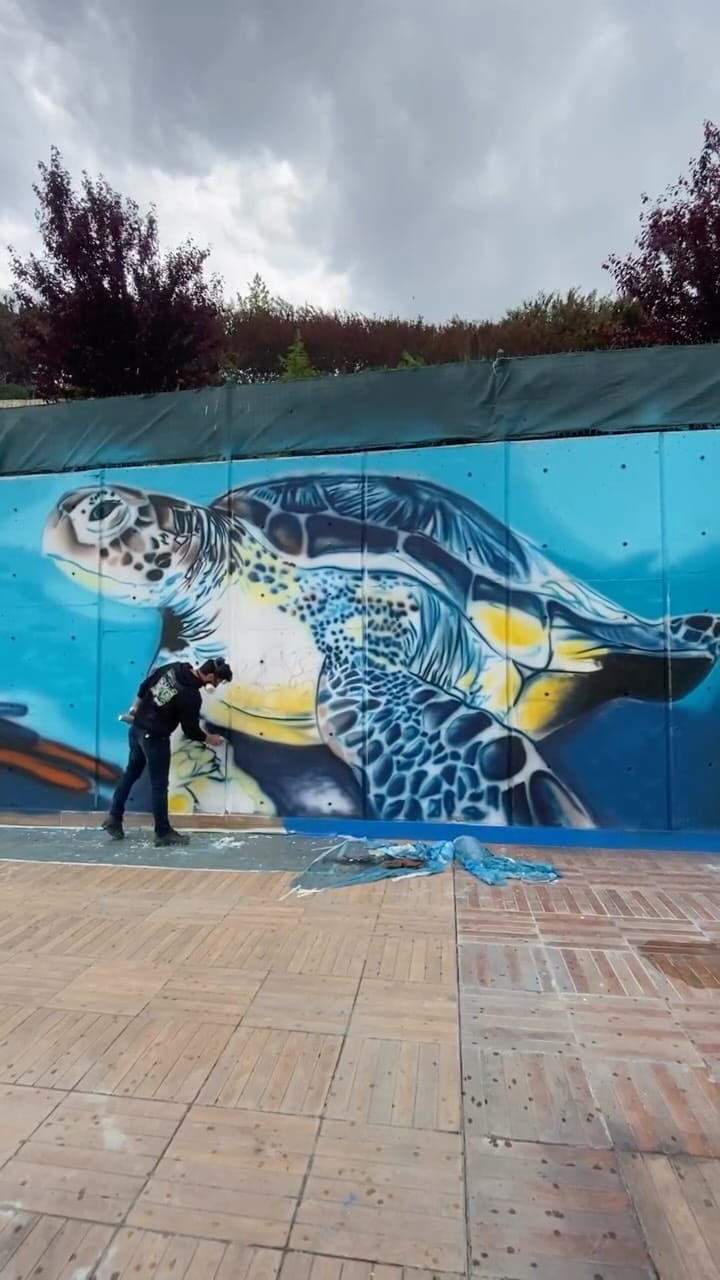 Post 4 by Duvar Resmi Grafiti on Instagram (video)