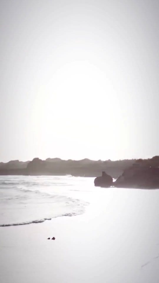 Post 8 by Erik Volpe on Instagram (video)