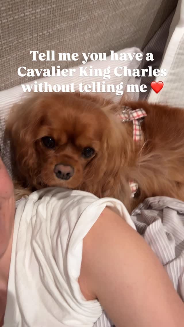 Post 8 by Maggie🐶 on Instagram (video)