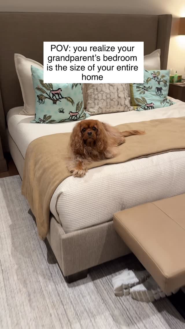 Post 5 by Maggie🐶 on Instagram (video)