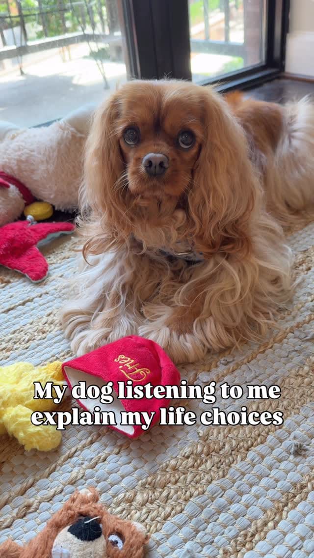 Post 7 by Maggie🐶 on Instagram (video)