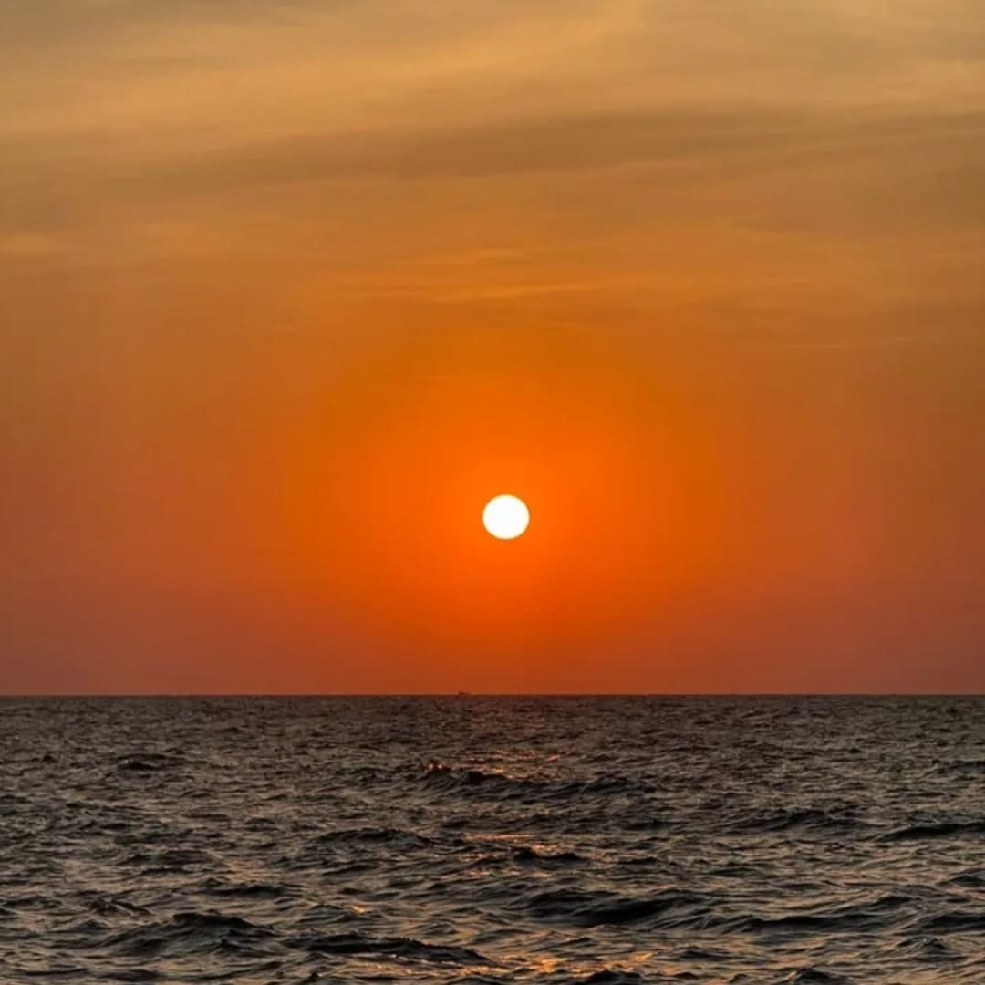 Post 7 by J O S E P H 🏴‍☠️ 🇦🇺 on Instagram (image)