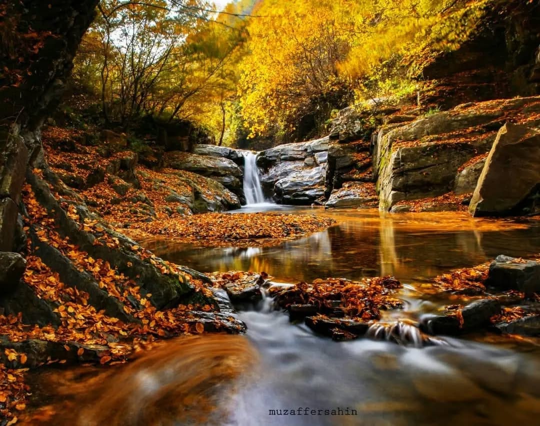 Post 9 by #LikeSamsun on Instagram (image)