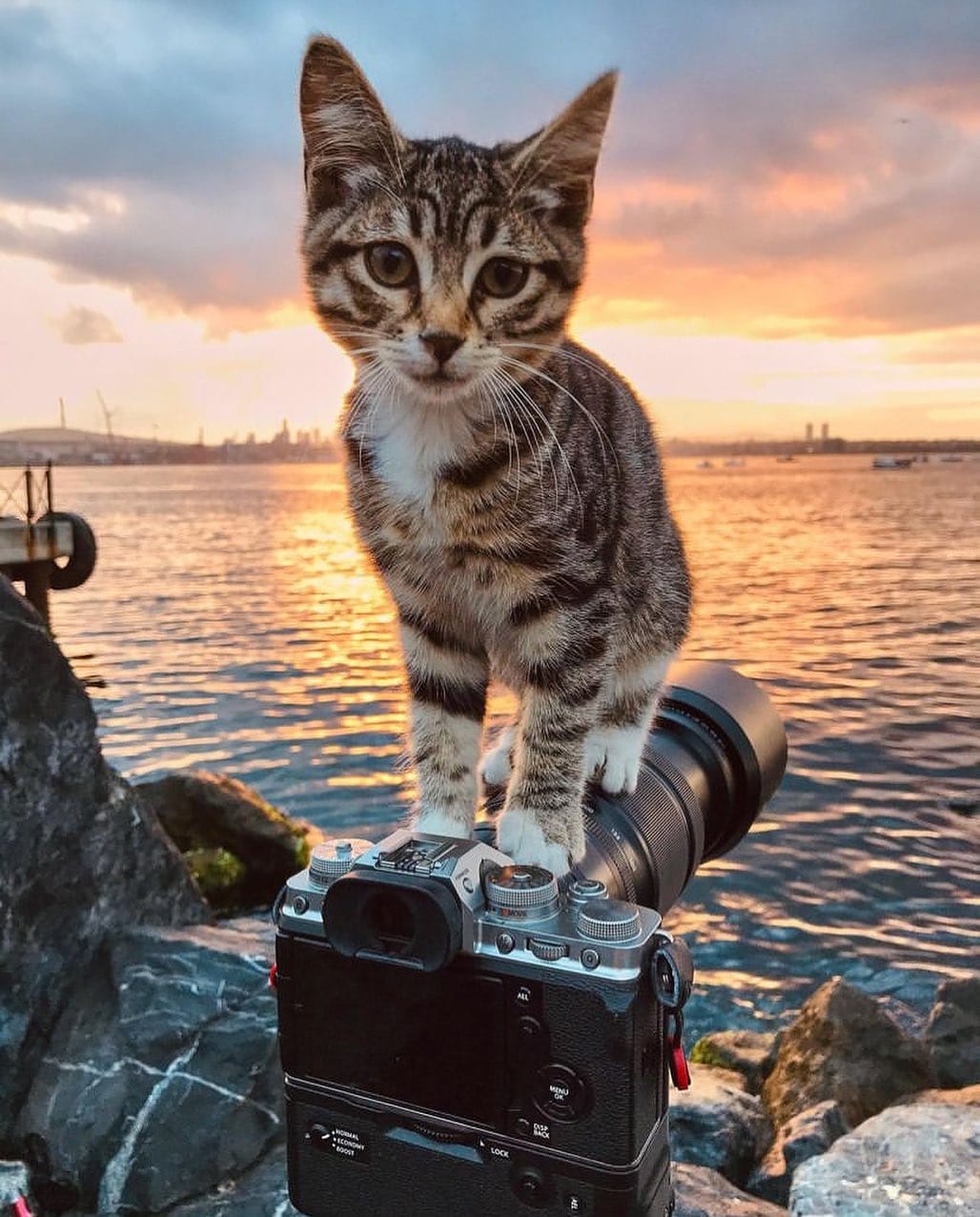 Post 3 by #lovestanbul_ on Instagram (image)