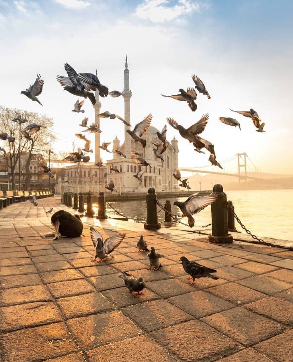 Post 2 by #lovestanbul_ on Instagram (image)