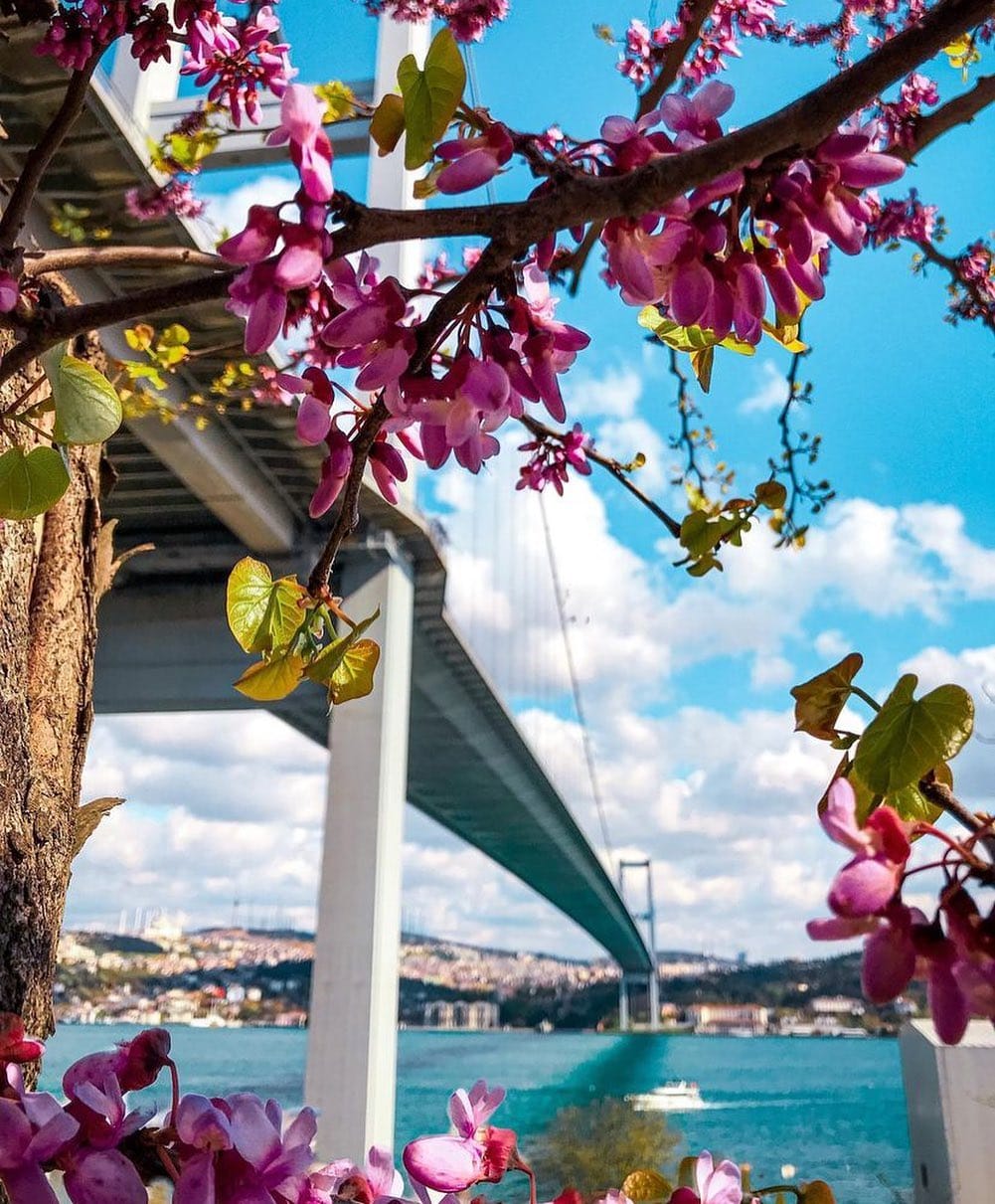 Post 7 by #lovestanbul_ on Instagram (image)