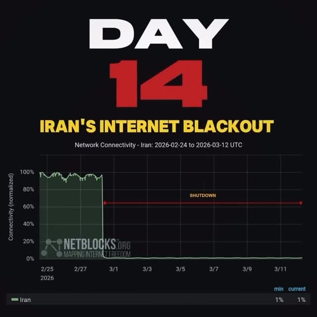 Post 3 by Saeid Norozi on Instagram (video)