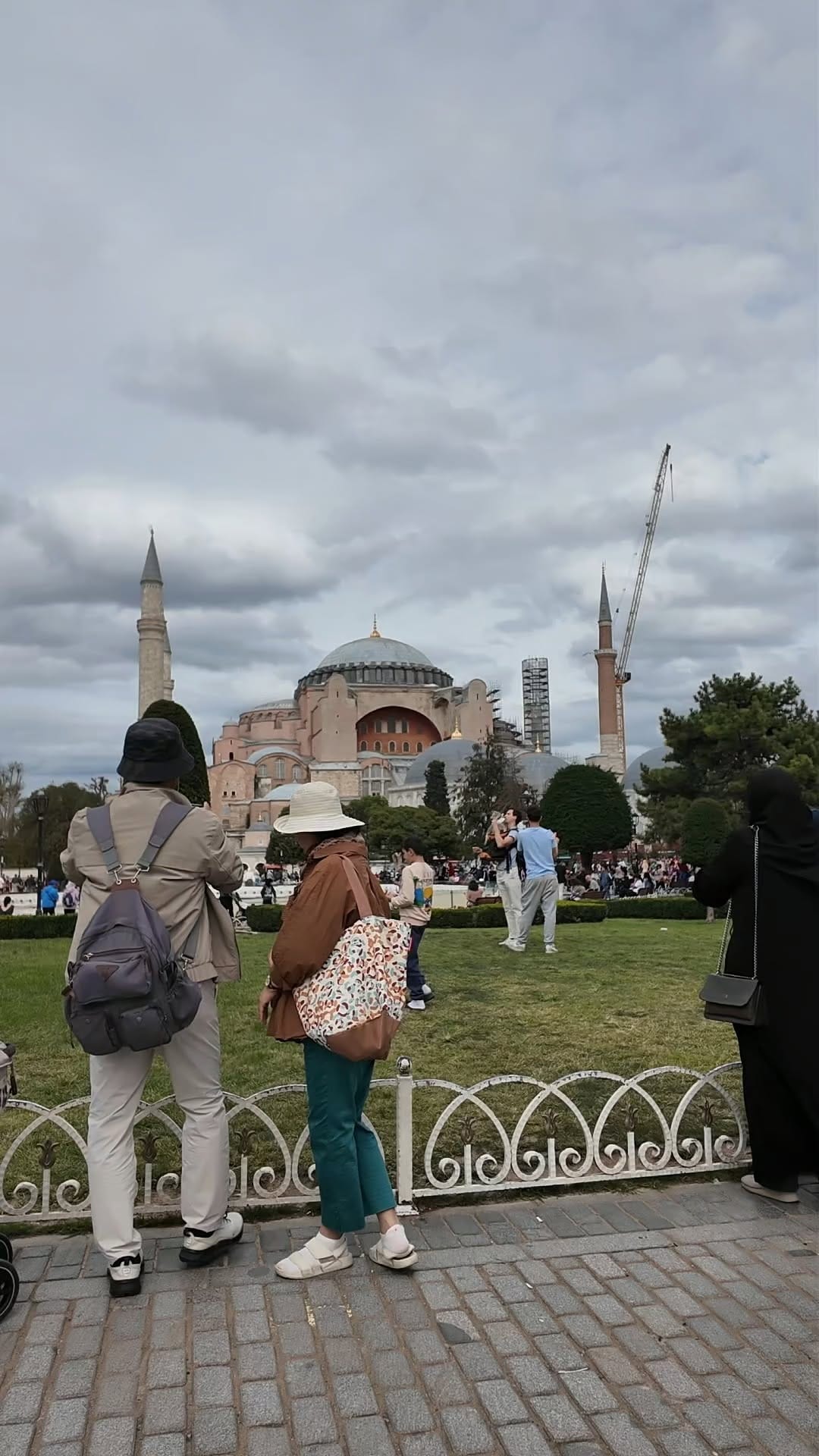 Post 7 by Istanbul Cats on Instagram (video)