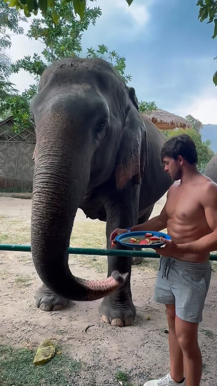 Post 1 by Andrea Gismondo on Instagram (video)