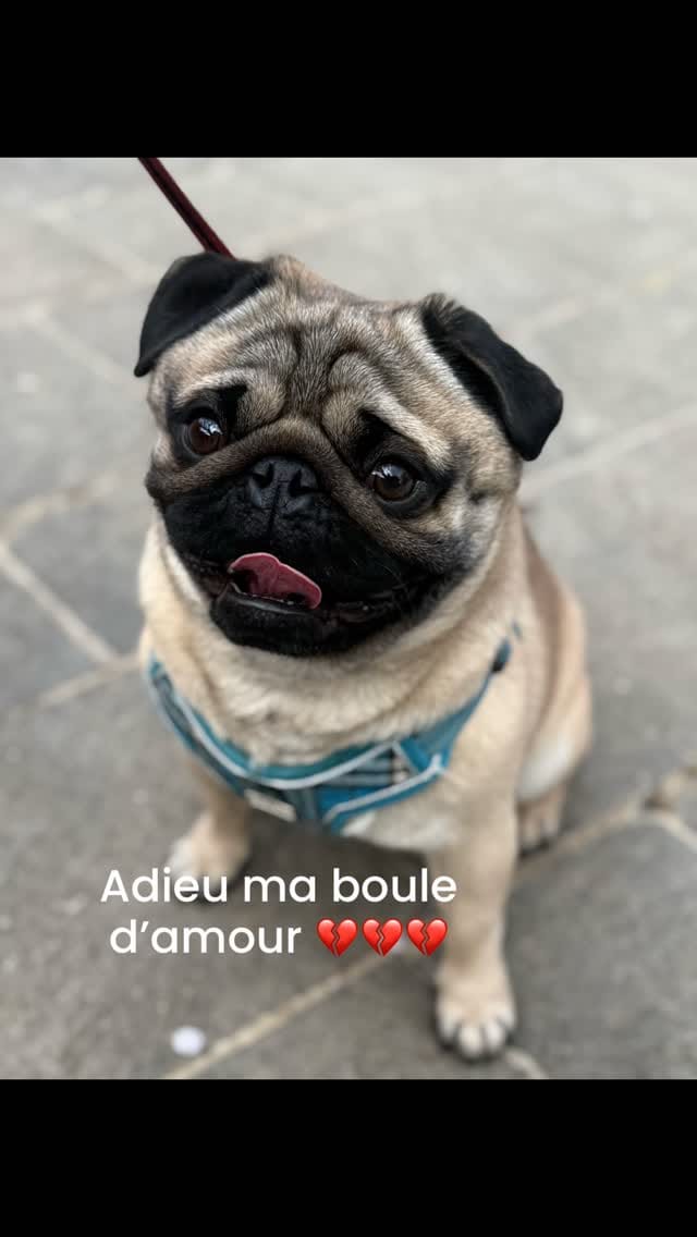Post 4 by Claire Mazué✨thérapeute hypersensible et sereine✨ on Instagram (video)