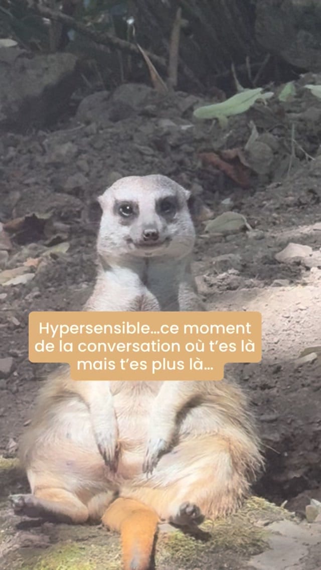 Post 7 by Claire Mazué✨thérapeute hypersensible et sereine✨ on Instagram (video)