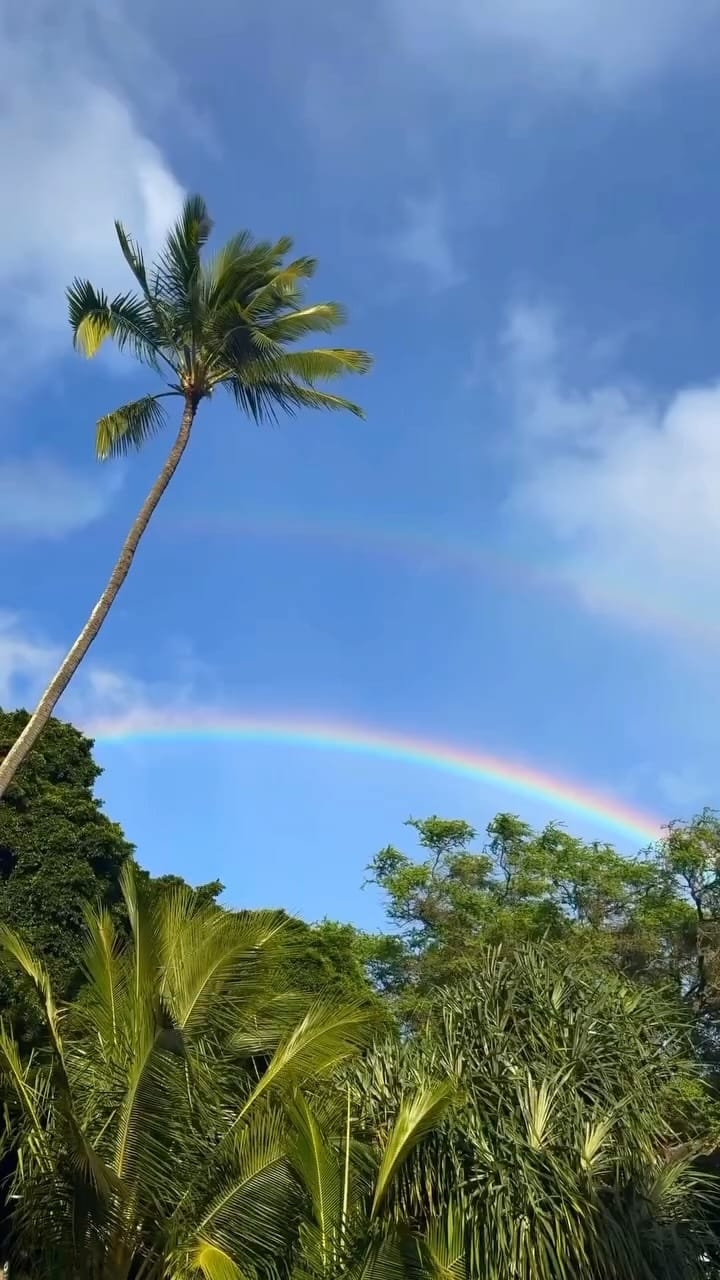 Post 7 by UH Mānoa Admissions on Instagram (video)