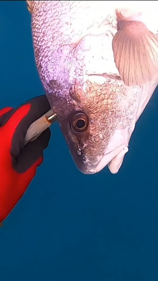 Post 3 by Alberto Galante on Instagram (video)