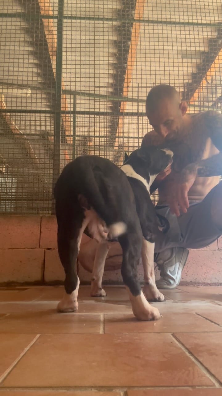 Post 1 by Walter Cogliandro on Instagram (video)