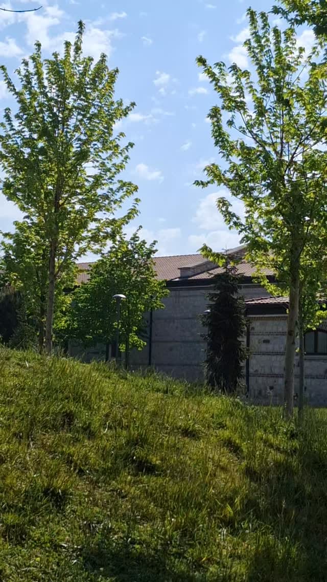 Post 7 by Süt Tasarım Atölyesi on Instagram (video)