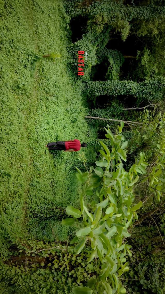 Post 10 by SHUBHAM SAO on Instagram (video)