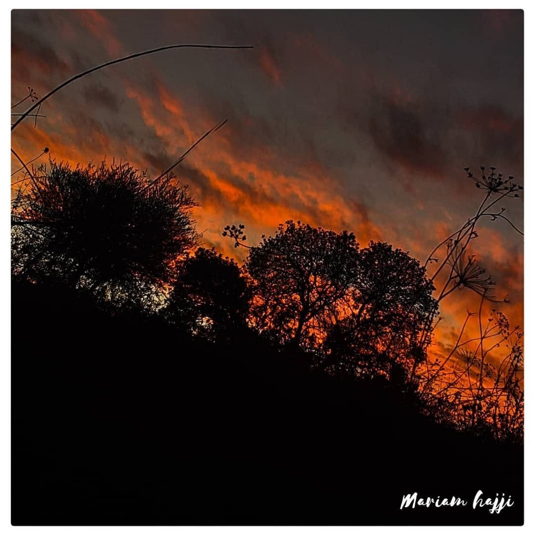 Post 4 by Mariam Hajji on Instagram (carousel)
