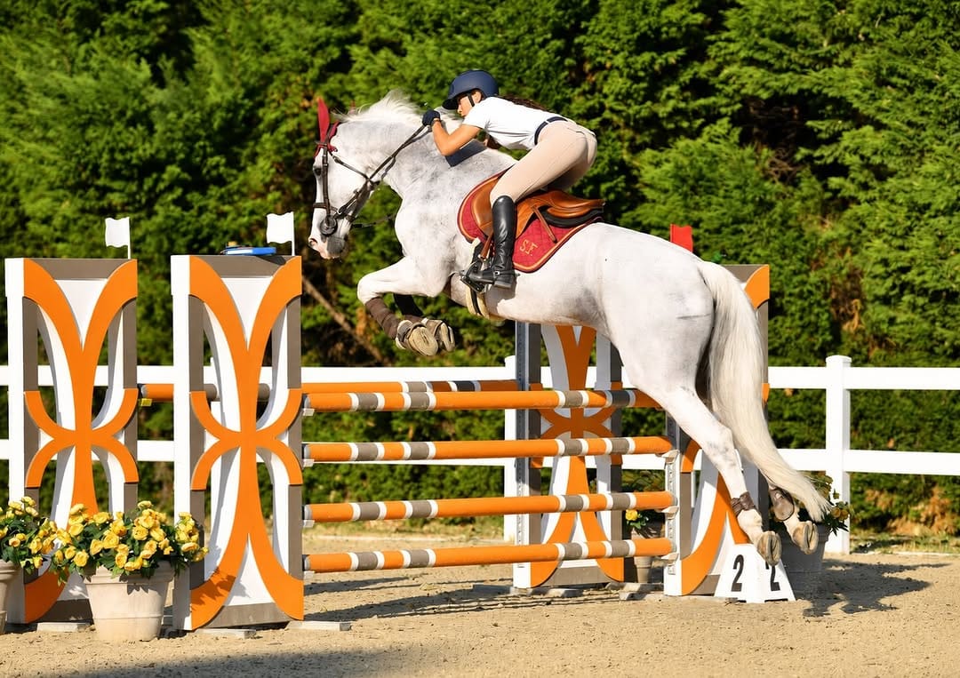 Post 1 by Silvia Fognini | Show Jumping Rider 🇮🇹 on Instagram (image)