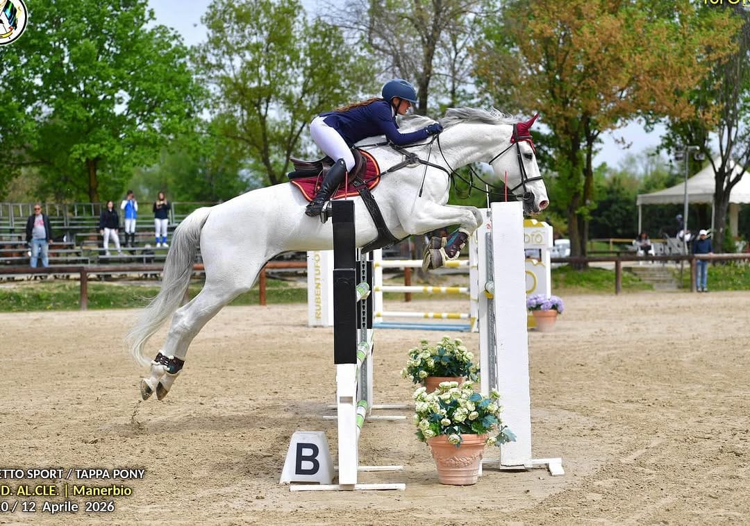 Post 5 by Silvia Fognini | Show Jumping Rider 🇮🇹 on Instagram (image)