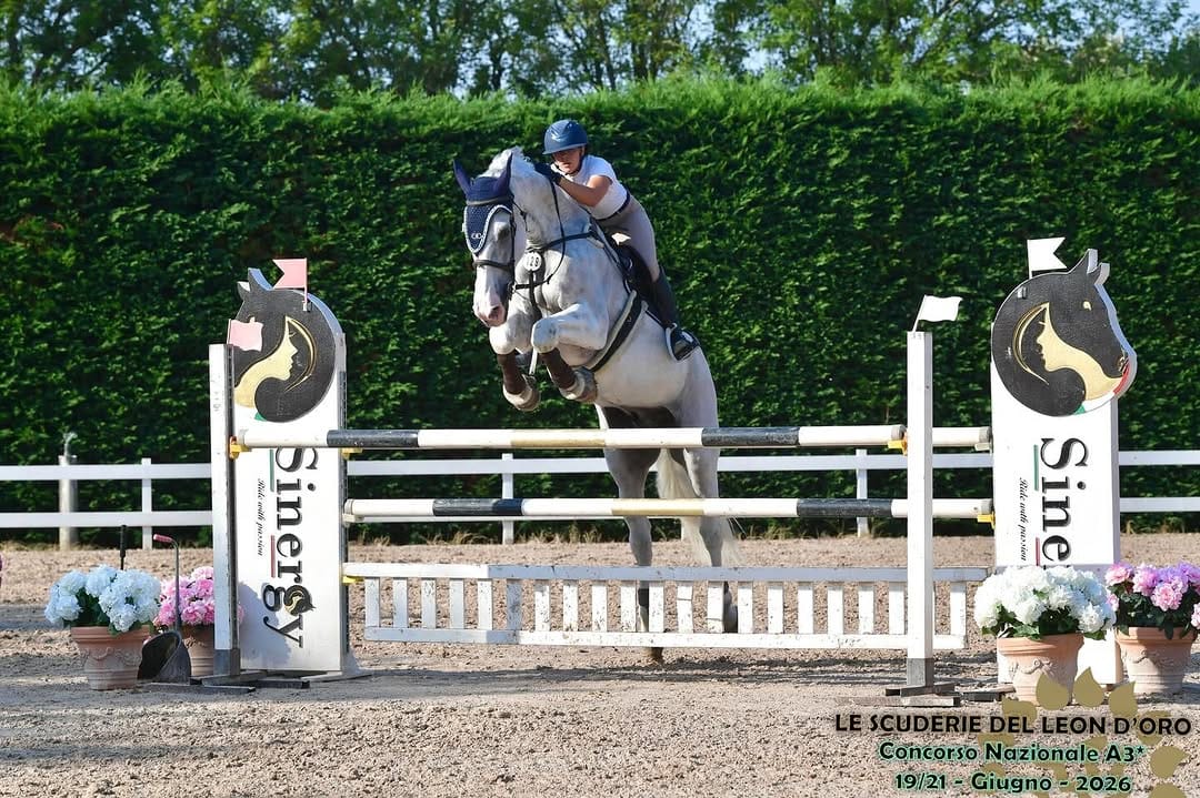Post 2 by Silvia Fognini | Show Jumping Rider 🇮🇹 on Instagram (image)