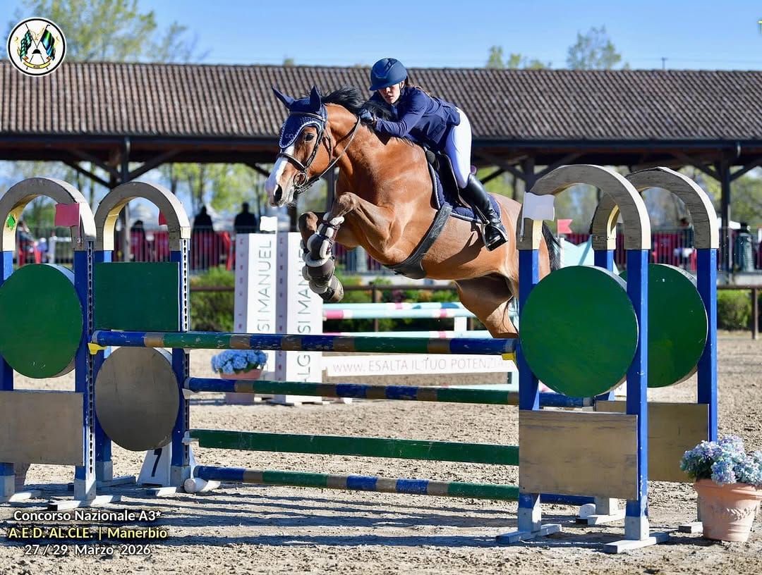 Post 8 by Silvia Fognini | Show Jumping Rider 🇮🇹 on Instagram (carousel)