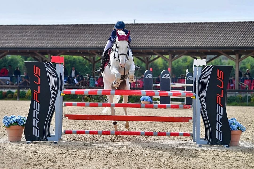 Post 9 by Silvia Fognini | Show Jumping Rider 🇮🇹 on Instagram (carousel)