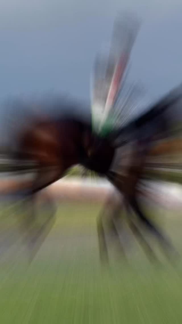 Post 5 by Jorge Benitez on Instagram (video)