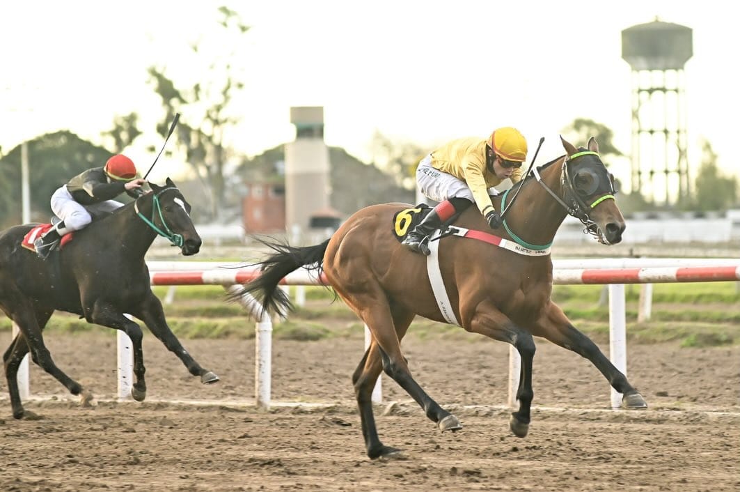 Post 1 by Jorge Benitez on Instagram (carousel)