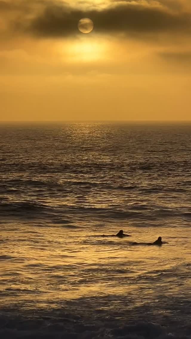 Post 1 by Valeria Patriarca on Instagram (video)