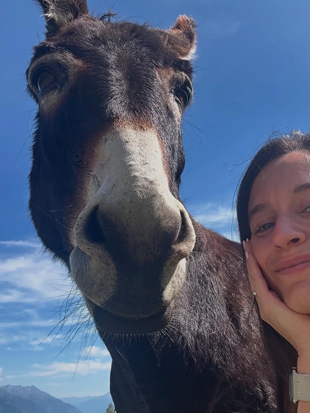 Post 8 by Martina • on Instagram (carousel)