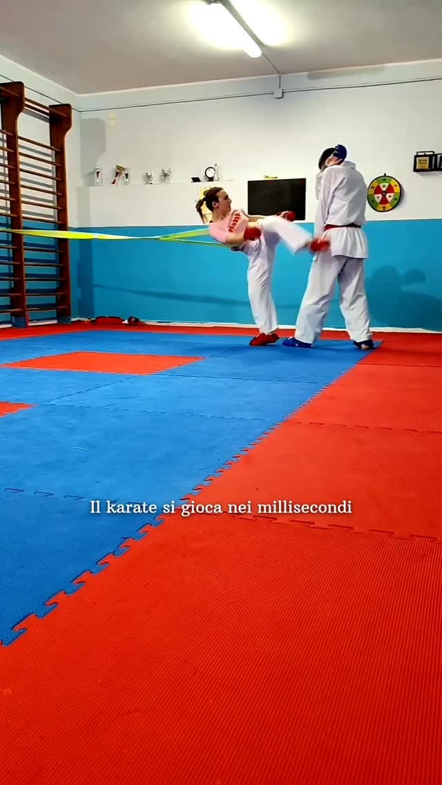Post 5 by Erika Scaletta🌙 on Instagram (video)