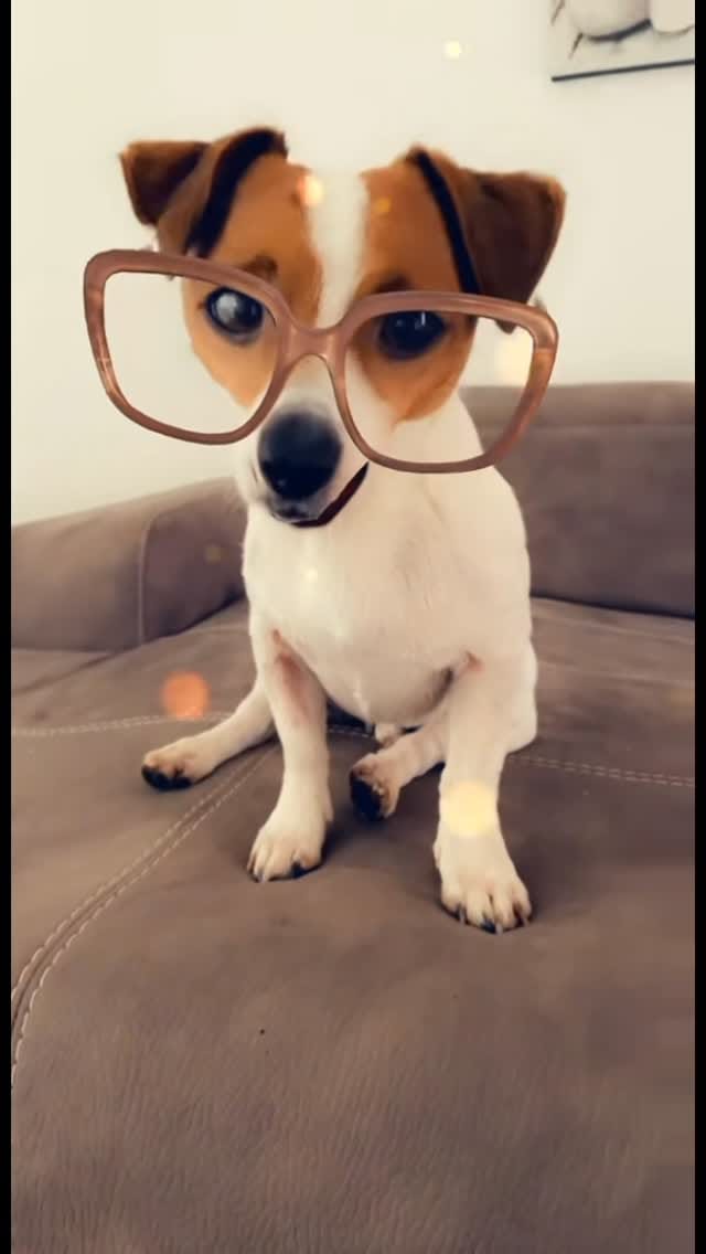 Post 1 by 𝗔𝗖𝗛𝗜𝗟𝗟𝗘 👑 on Instagram (video)