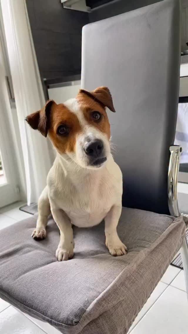 Post 3 by 𝗔𝗖𝗛𝗜𝗟𝗟𝗘 👑 on Instagram (video)