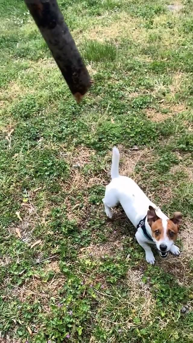 Post 2 by 𝗔𝗖𝗛𝗜𝗟𝗟𝗘 👑 on Instagram (video)