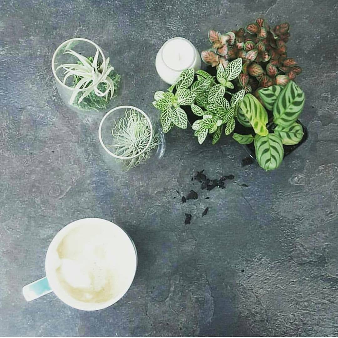 Post 5 by Unique Artisan Soy Candles on Instagram (image)