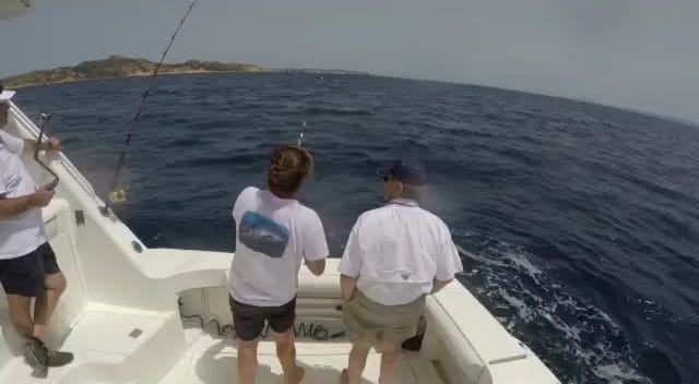 Post 6 by Fly-Fish® on Instagram (video)